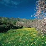 Cortijo San Ignacio منتجع