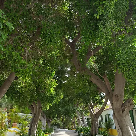 Cortijo San Ignacio Θέρετρο El Cortijo (Gran Canaria)