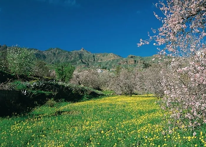 Cortijo San Ignacio Station touristique