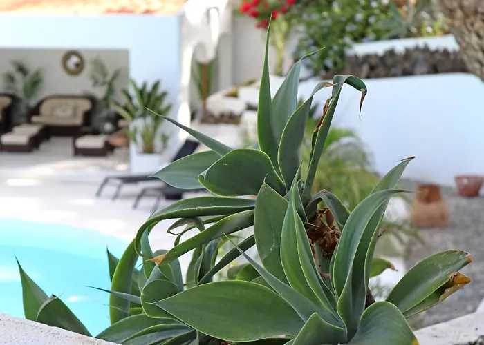 אתר נופש Cortijo San Ignacio 4*