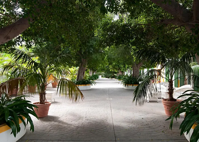 Cortijo San Ignacio אתר נופש El Cortijo (Gran Canaria)