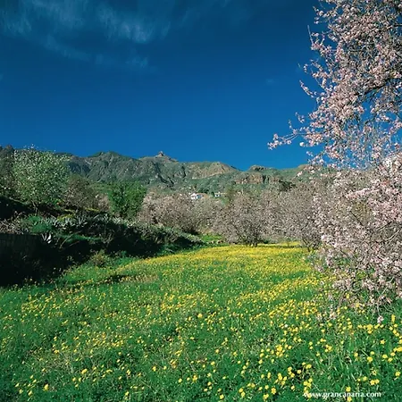 Cortijo San Ignacio Ośrodek wypoczynkowy